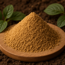 INSECT-MEAL